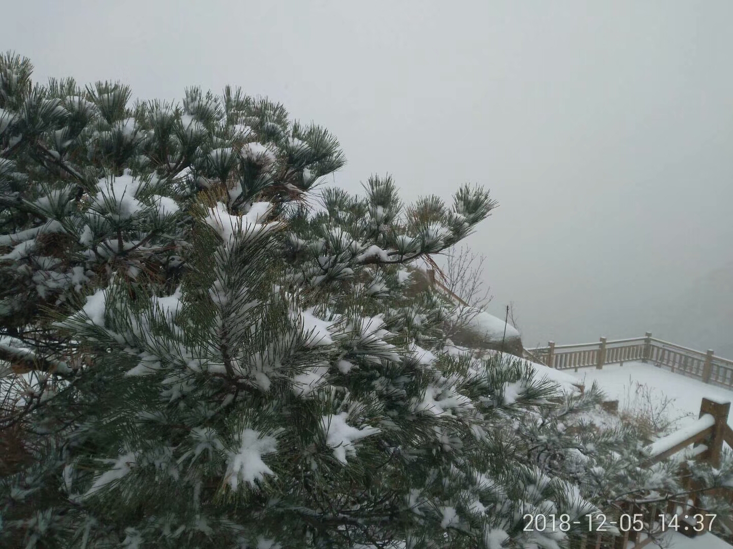 游河山求偶遇~(图4)